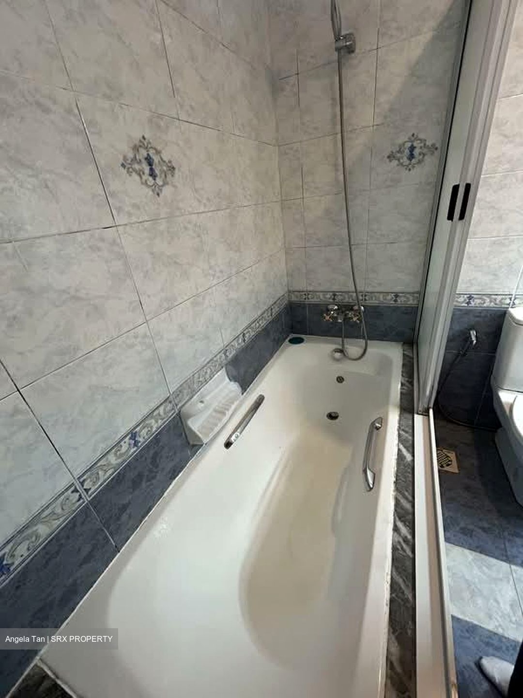 Banyan Condominium (D5), Condominium #554733301